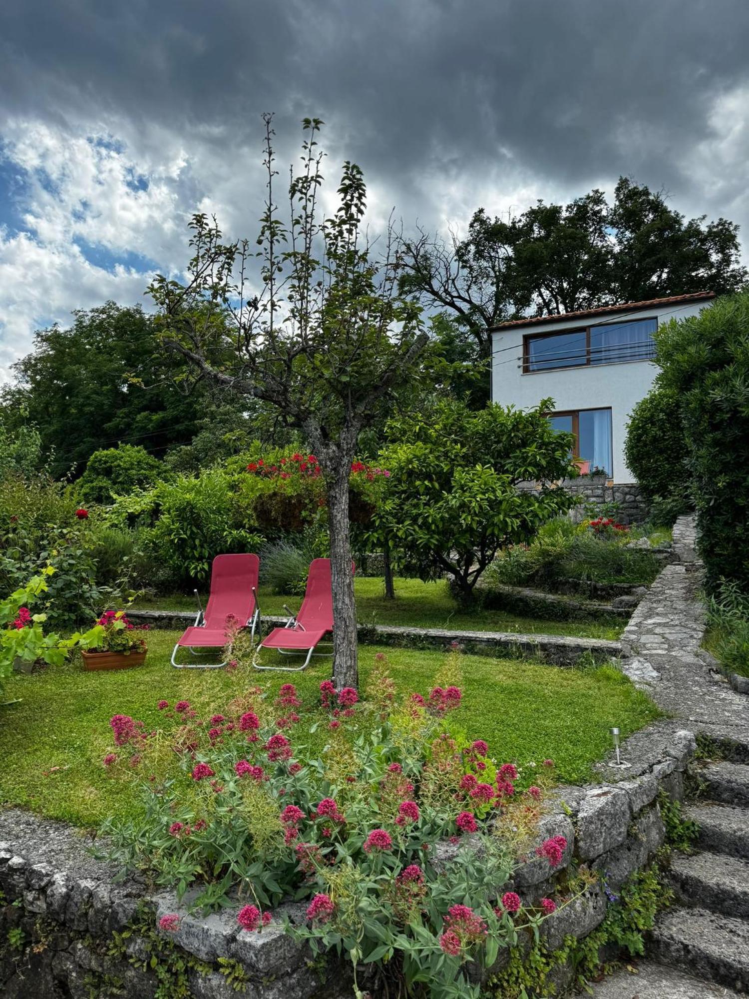 Apartment Perla - With Sea View